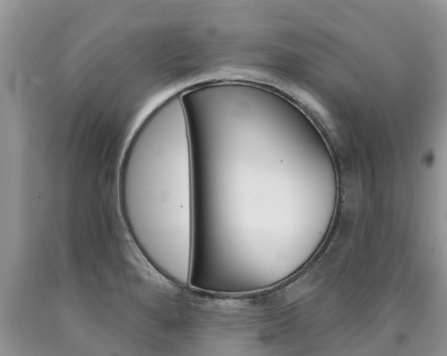 X0000090771280200707201107