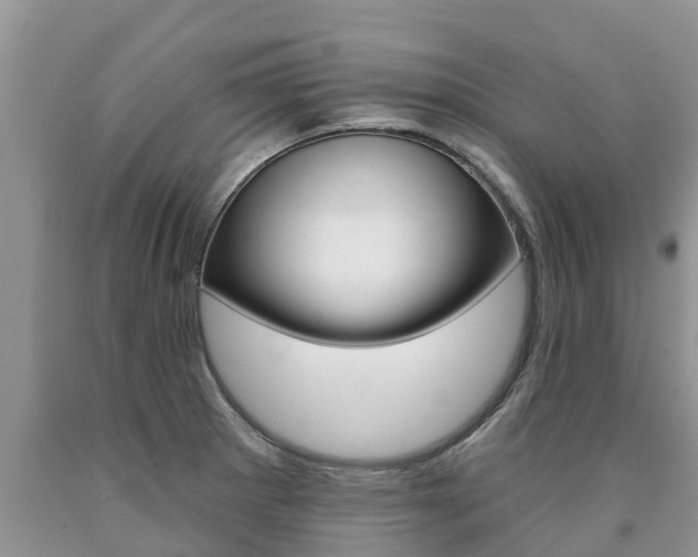 X0000090771281200707201107