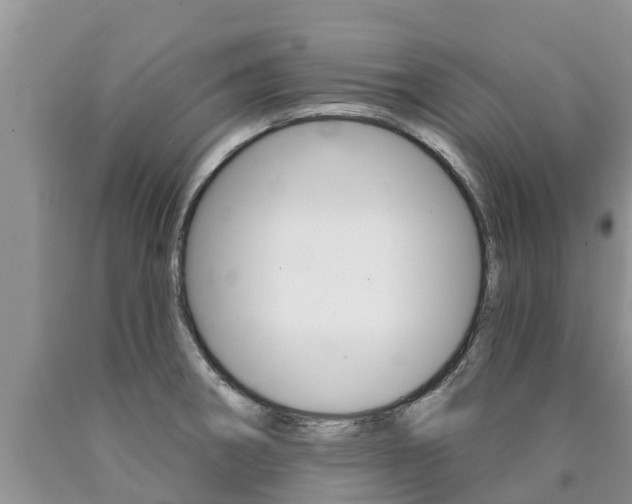X0000090771282200707201107