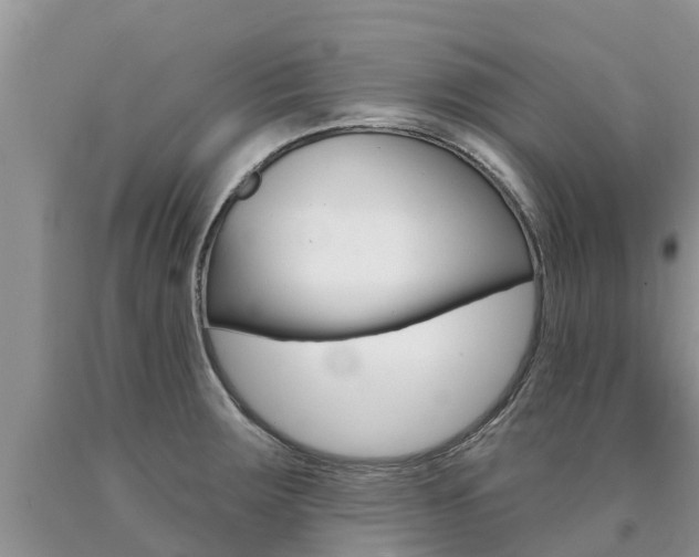 X0000090771283200707201107