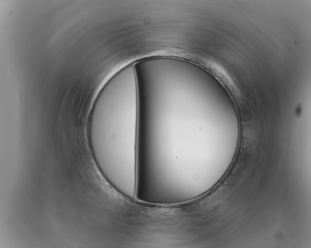 X0000090771284200707201106