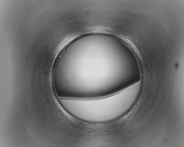 X0000090771285200707201106