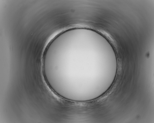 X0000090771286200707201106