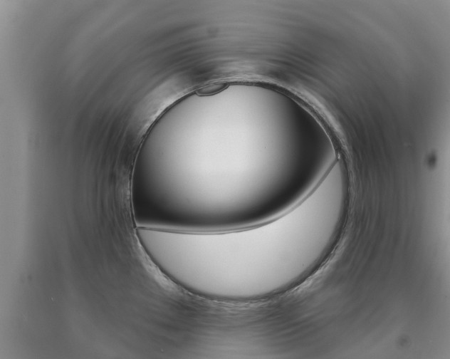 X0000090771289200707201106