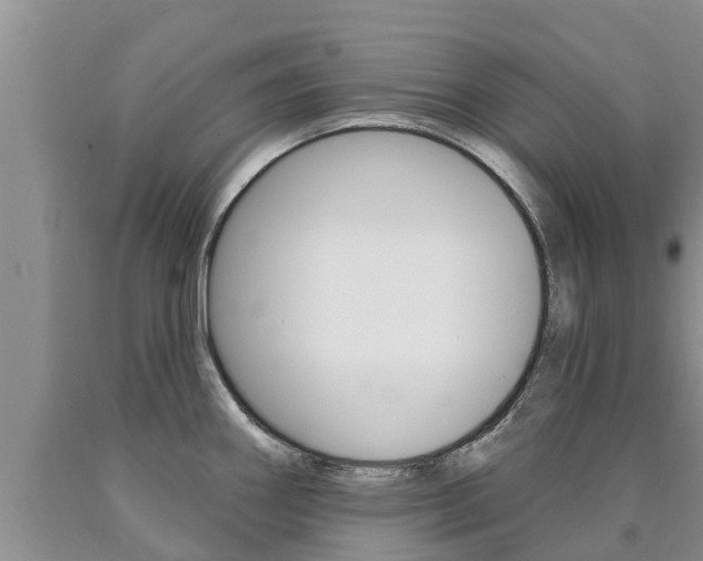 X0000090771290200707201106