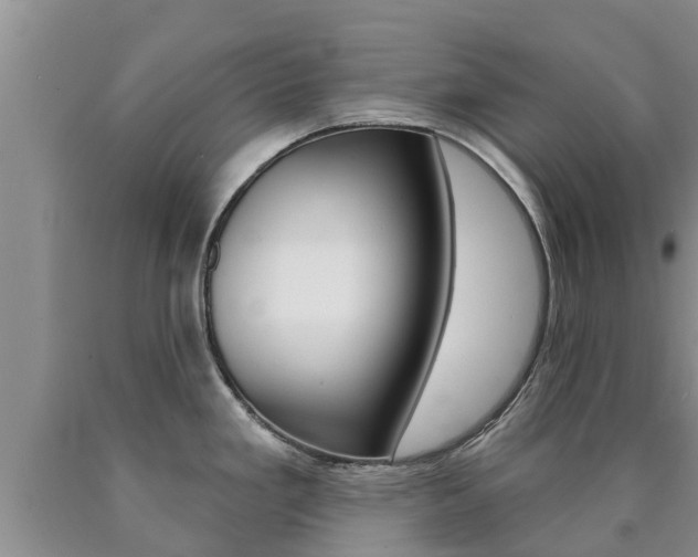 X0000090771293200707201106