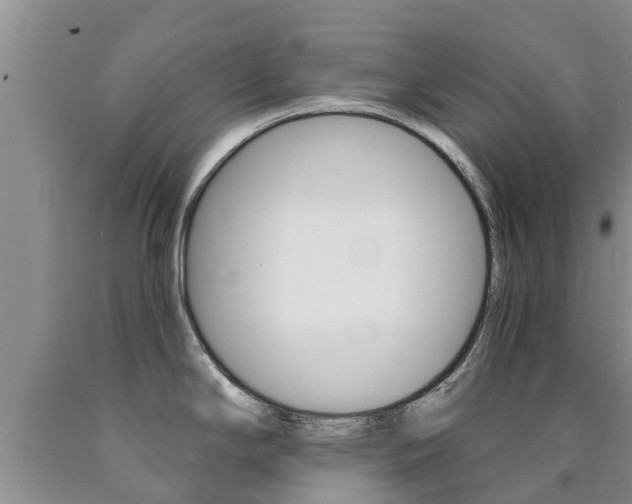 X0000090771294200707201106