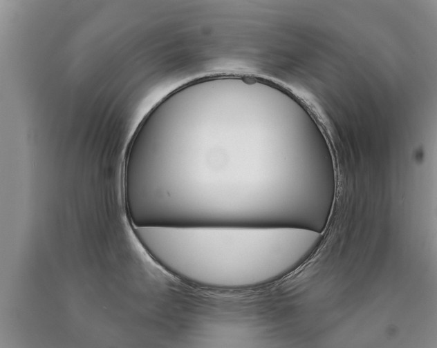 X0000090771295200707201106