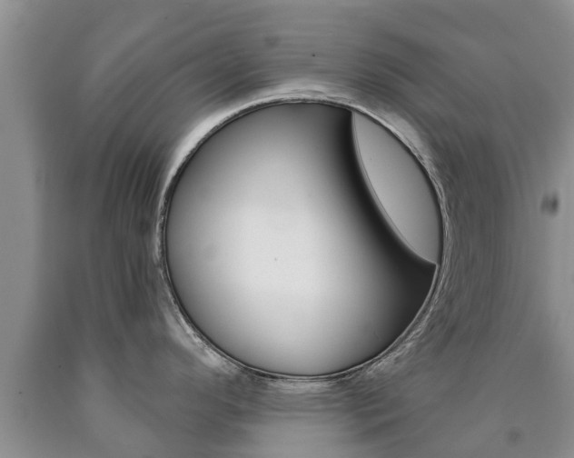 X0000090771296200707201106