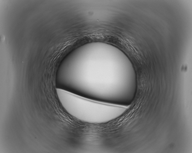 X0000090771297200707201106