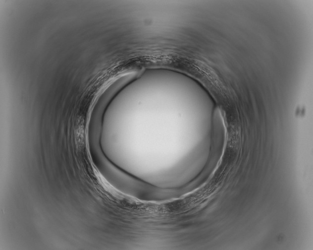 X0000090771298200707201106