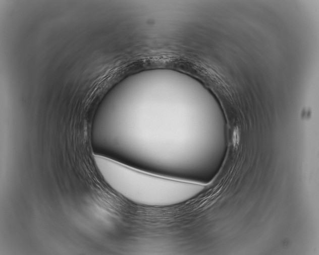 X0000090771299200707201106
