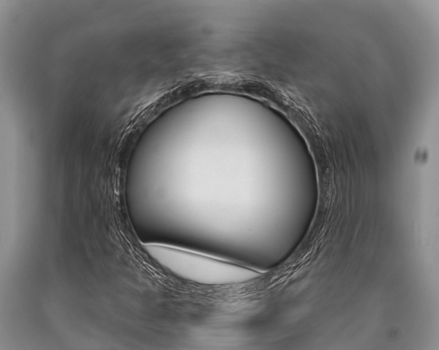 X0000090771301200707201106