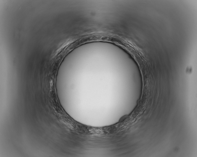 X0000090771302200707201106