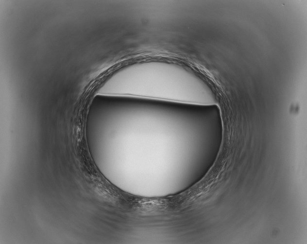 X0000090771303200707201106
