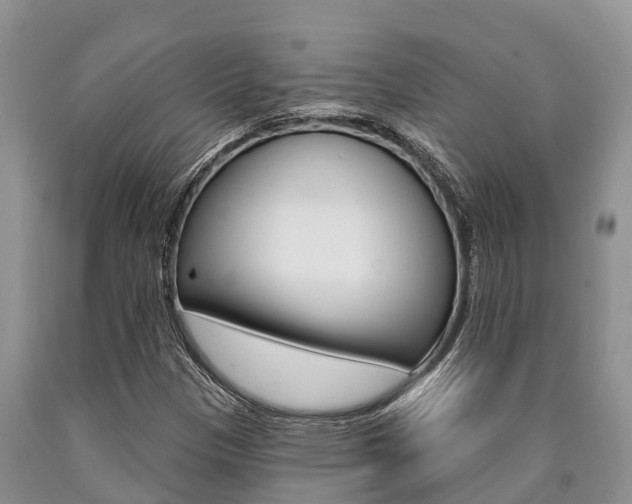 X0000090771305200707201106