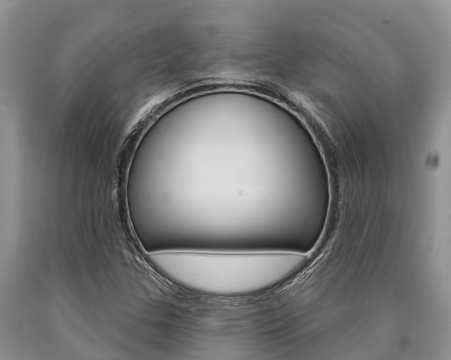 X0000090771307200707201106