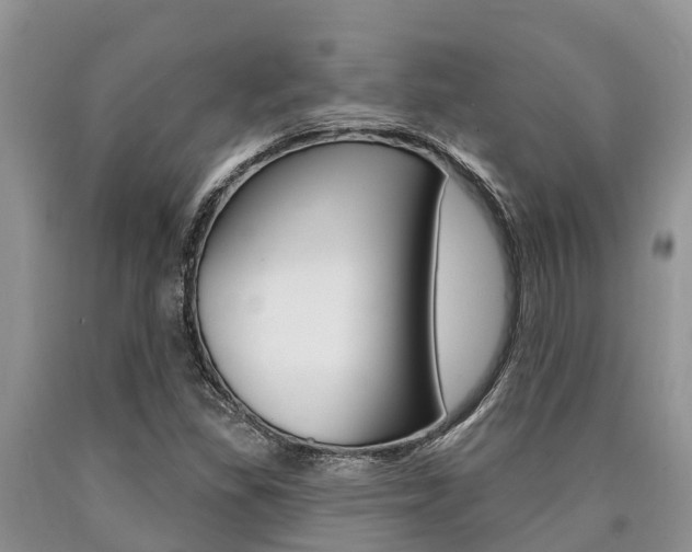 X0000090771309200707201106