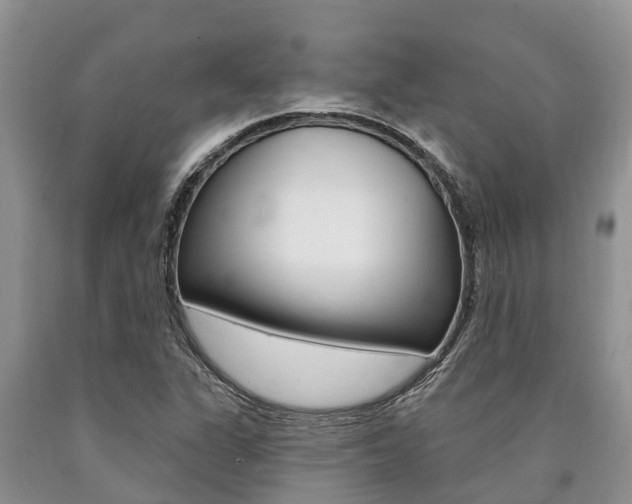 X0000090771311200707201106