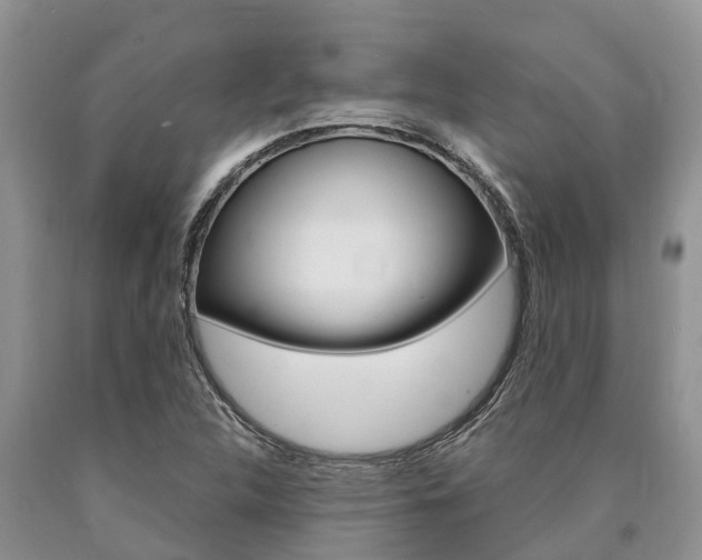 X0000090771312200707201106