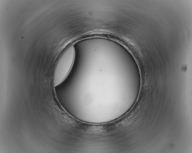 X0000090771313200707201106
