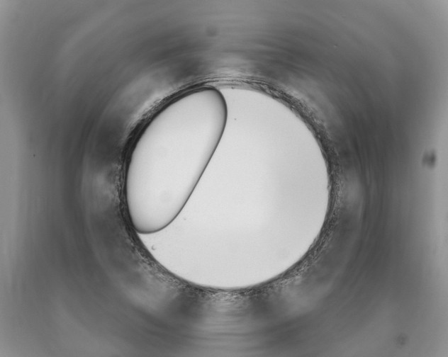X0000090771314200707201106