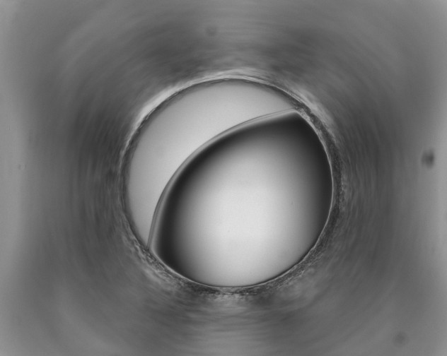 X0000090771316200707201106