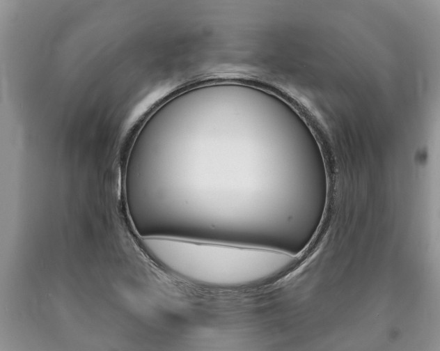 X0000090771317200707201106