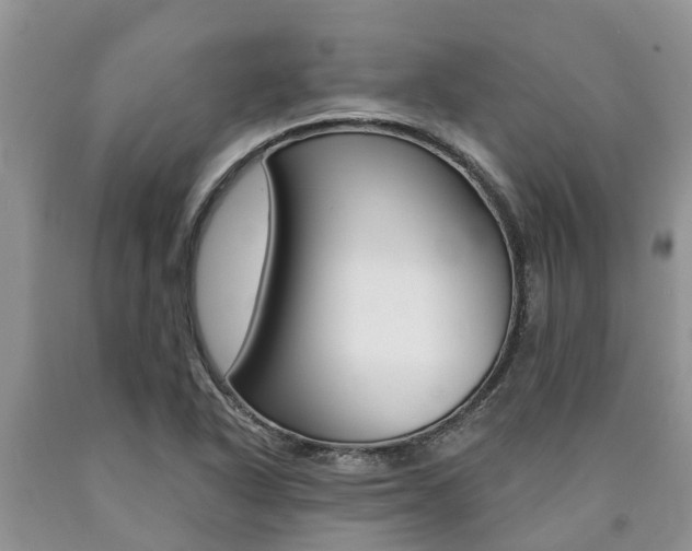 X0000090771318200707201106