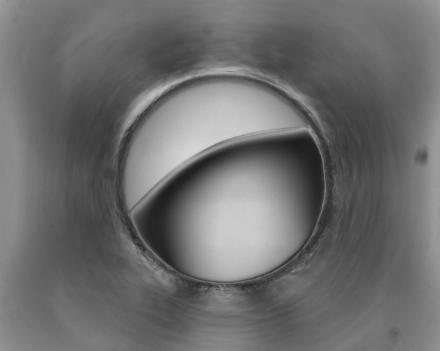 X0000090771319200707201106
