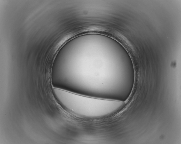 X0000090771321200707201106