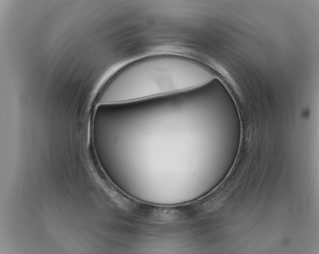 X0000090771323200707201106