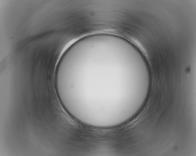 X0000090771324200707201106