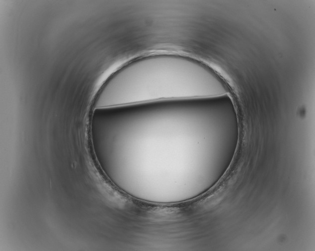 X0000090771325200707201106