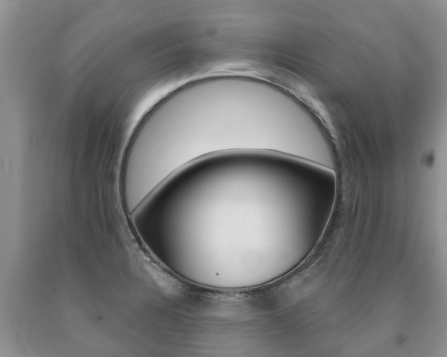 X0000090771328200707201106