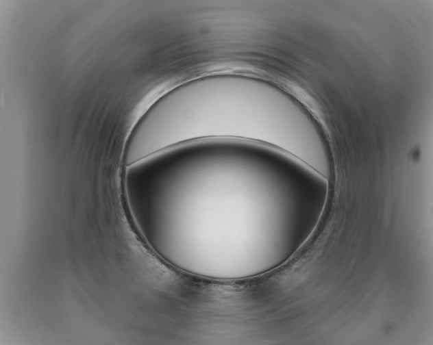 X0000090771330200707201106