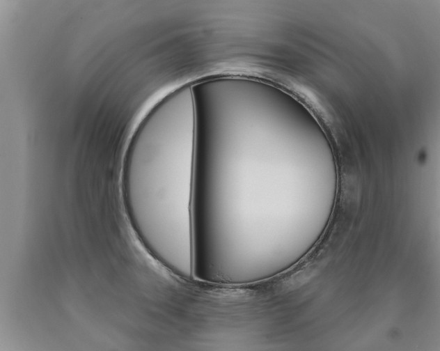 X0000090771331200707201106