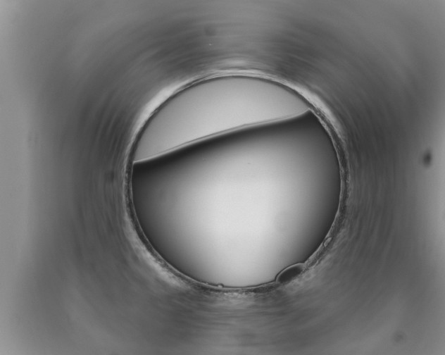 X0000090771333200707201106