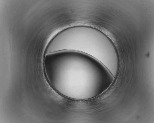 X0000090771334200707201106