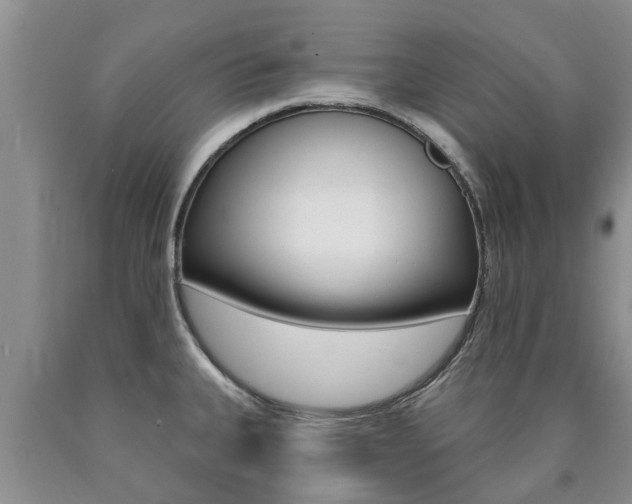 X0000090771335200707201106