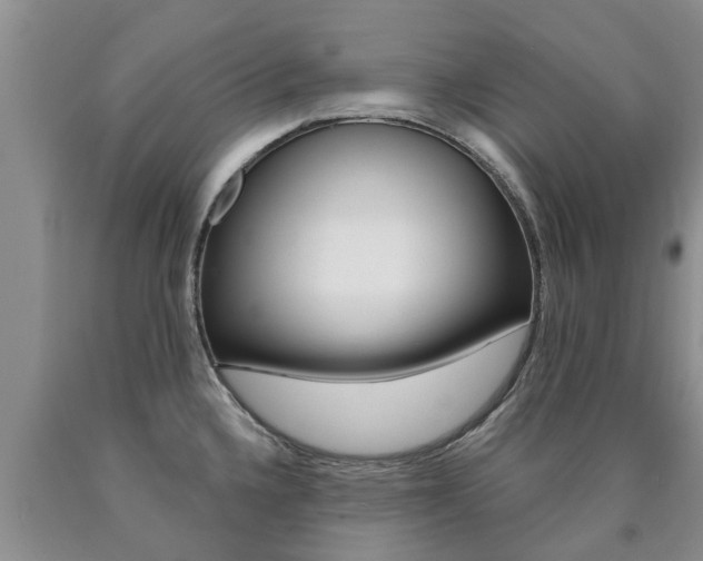 X0000090771336200707201106