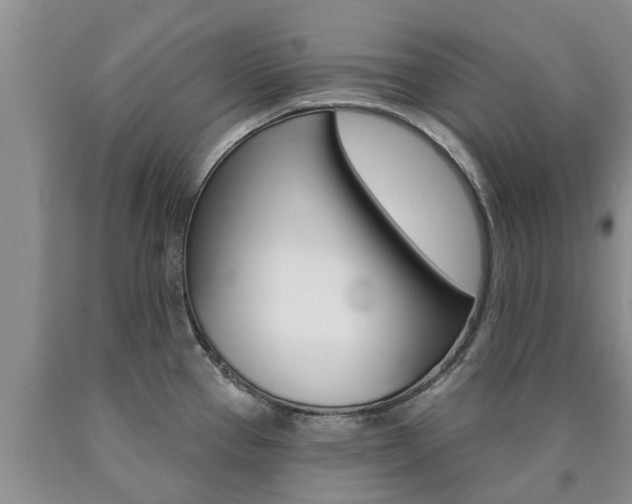 X0000090771337200707201106