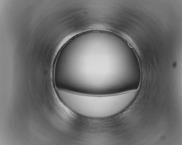X0000090771339200707201106