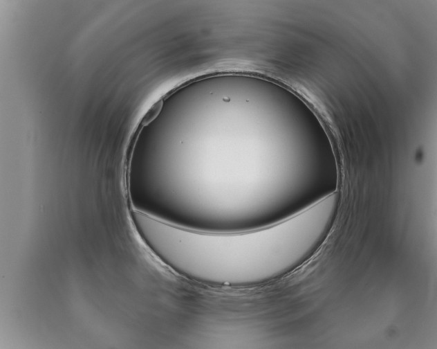 X0000090771342200707201106