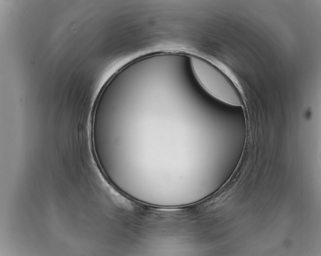 X0000090771343200707201106
