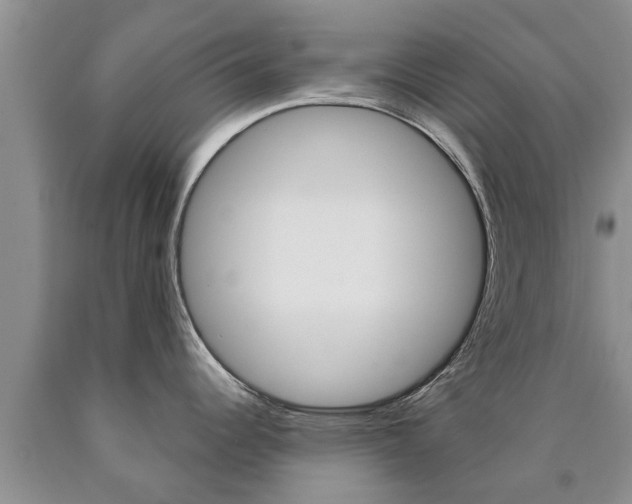 X0000090771344200707201106