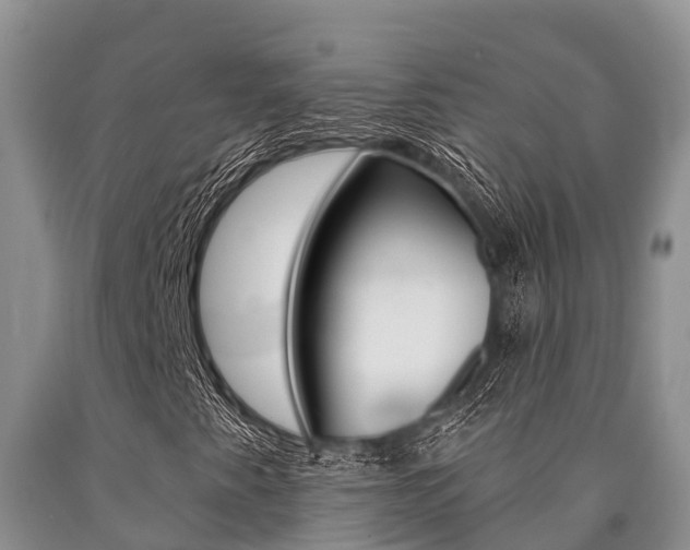 X0000090771345200707201105