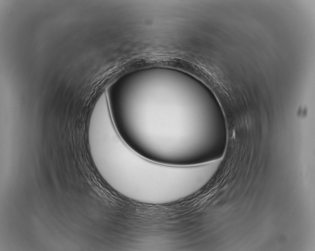 X0000090771348200707201105