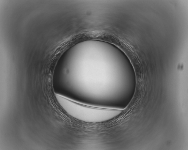 X0000090771349200707201105