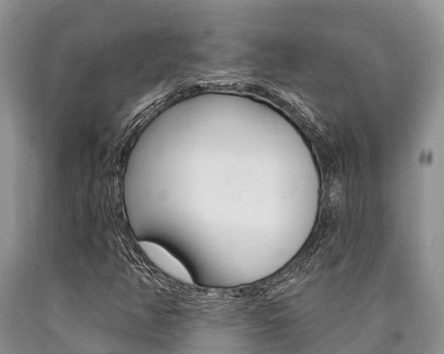 X0000090771350200707201105